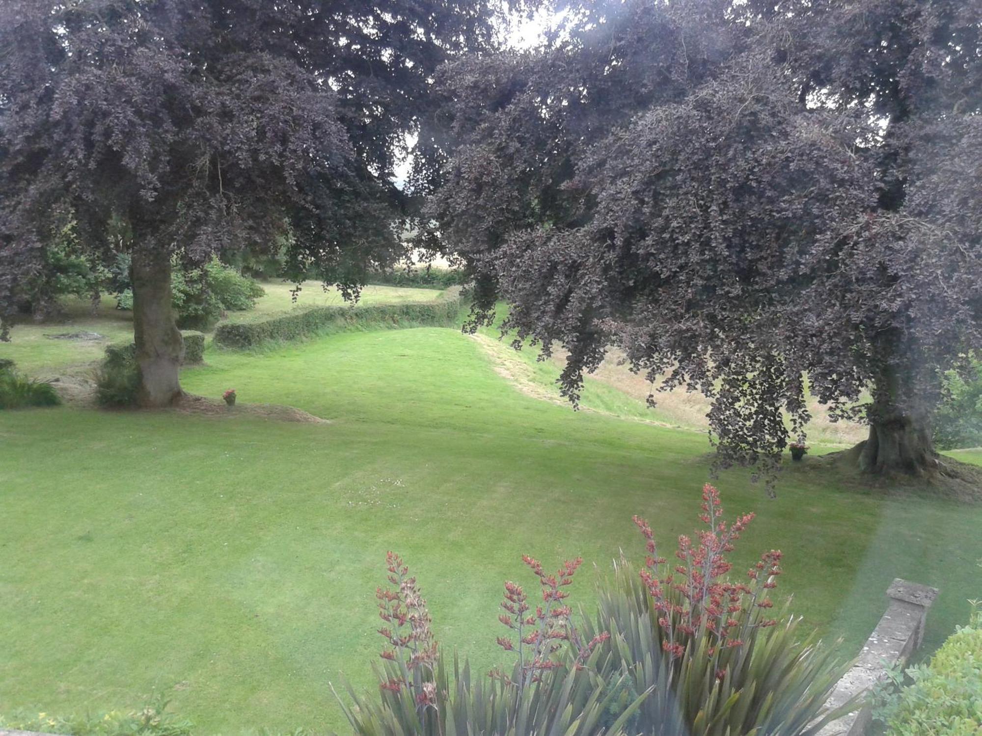 Buckley Farmhouse B & B Sidmouth Quarto foto