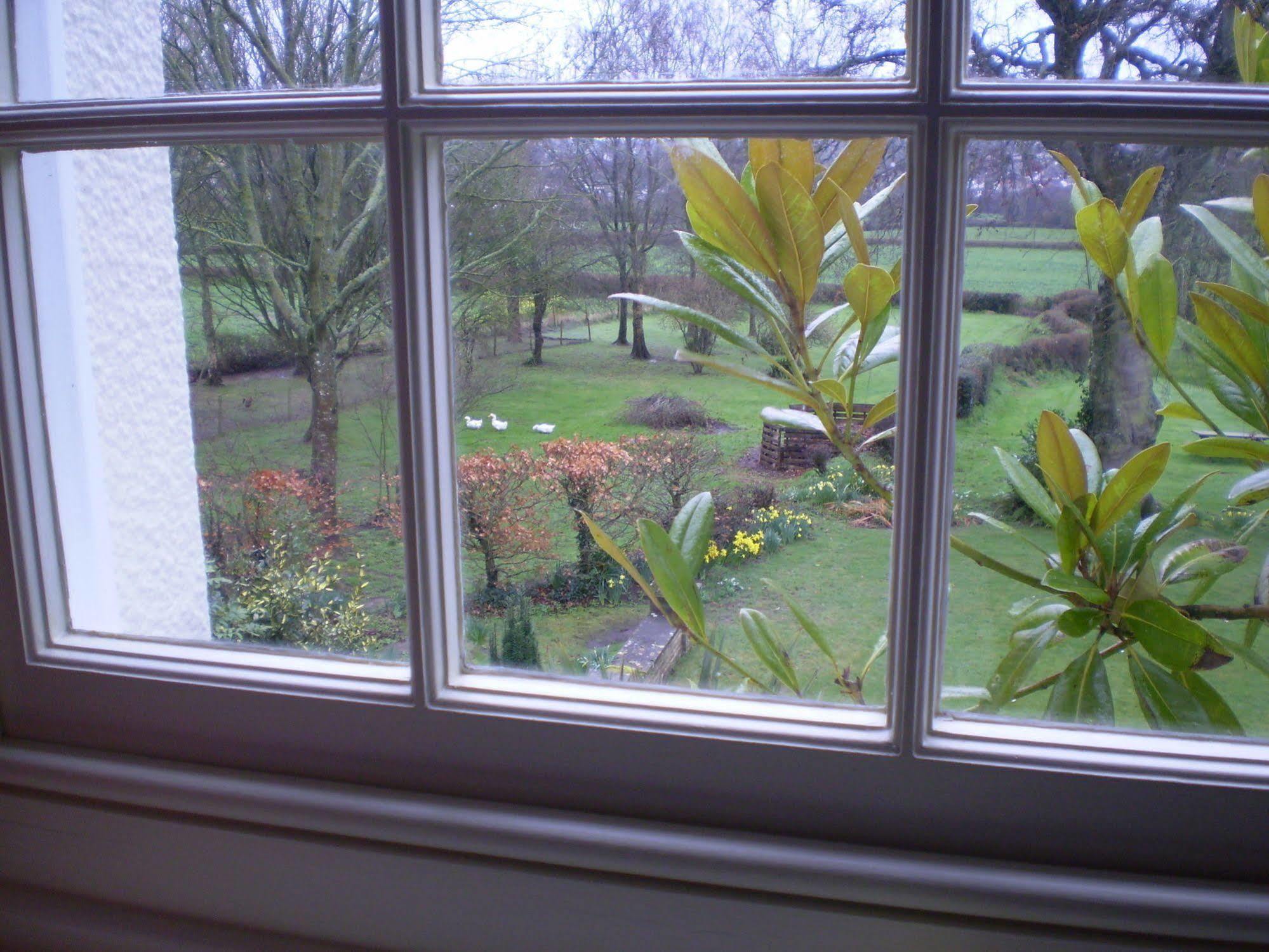 Buckley Farmhouse B & B Sidmouth Exterior foto